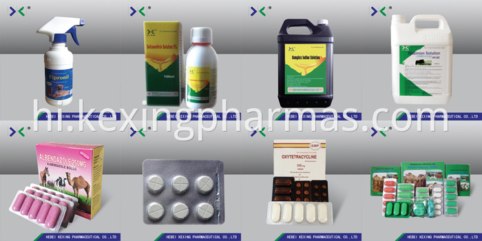 Oxytetracycline Tablet Chicken